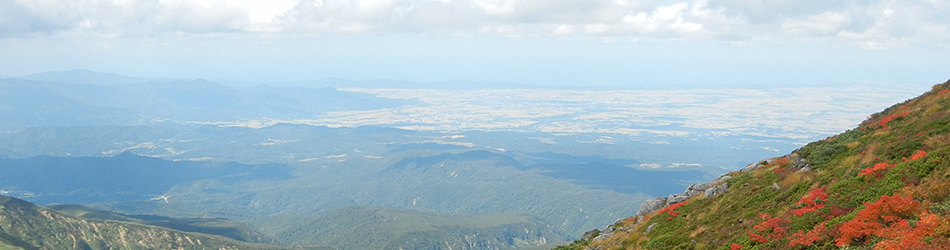 庄内平野